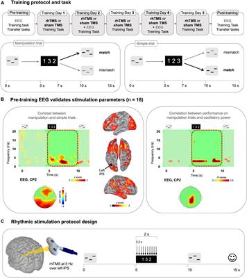 Information-based rhythmic transcranial magnetic stimulation to accelerate learning during auditory working memory training: a proof-of-concept study